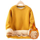  Sweatshirt Yellow