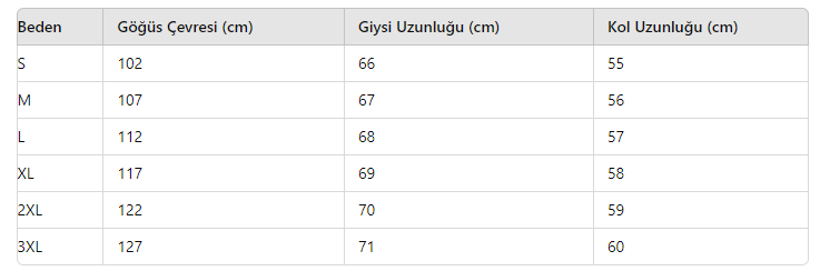 KADIN GÖMLEK GM1247