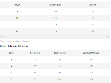 KADIN HOODİE HD1288